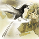 Illustration for article titled Discovering the colors of fossils
